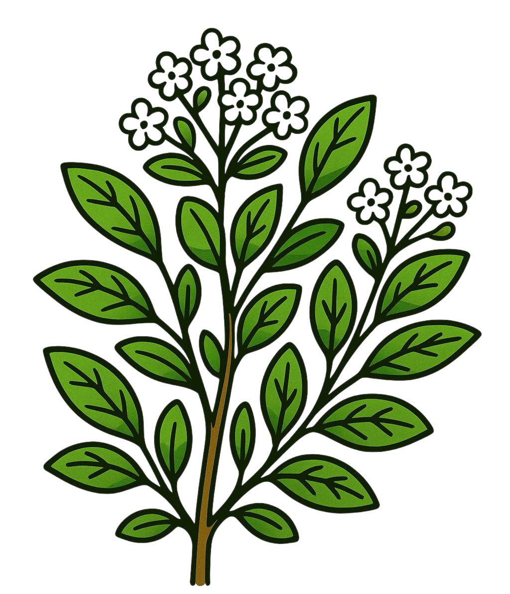 hennadesign.png in Nigeria